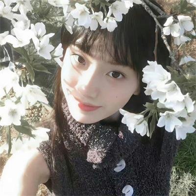 明月几时有国语
