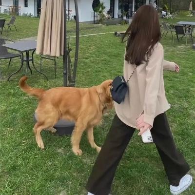 震荡效应